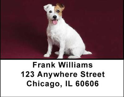 Jack Russell Terriers Address Labels | LBDOG-08