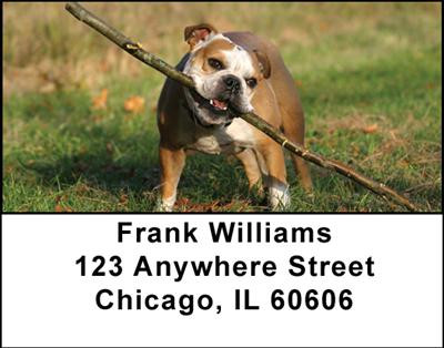 Bulldogs Are Fun Address Labels | LBDOG-23