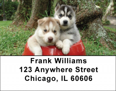 Sled Dogs Address Labels | LBDOG-43