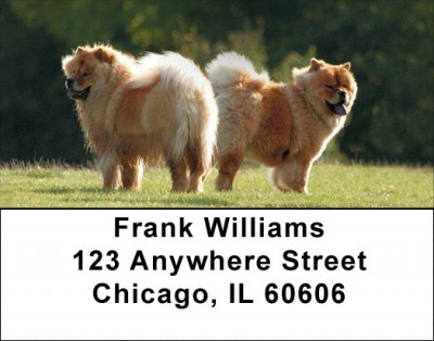 Chow Chow Address Labels | LBDOG-49