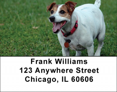 Jack Russells Are Mischievous Address Labels | LBDOG-58