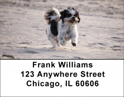 Happy Shih Tzu Address Labels | LBDOG-59