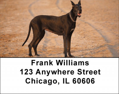 Great Dane Giants Address Labels | LBDOG-63