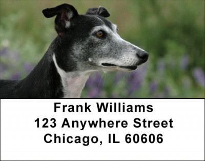 Whippets Are Wily Address Labels | LBDOG-75