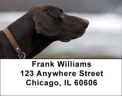 German Shorthair Pointer Address Labels | LBDOG-78