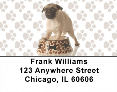 Pugs are Mischievous Address Labels | LBDOG-87