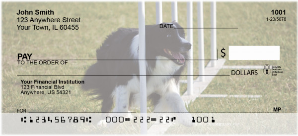 Border Collie Agility Personal Checks | DOG-45