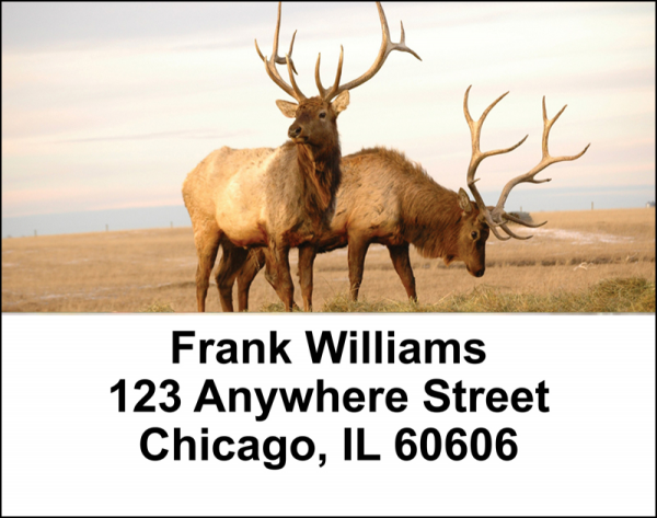 American Wildlife Address Labels | LBANI-08