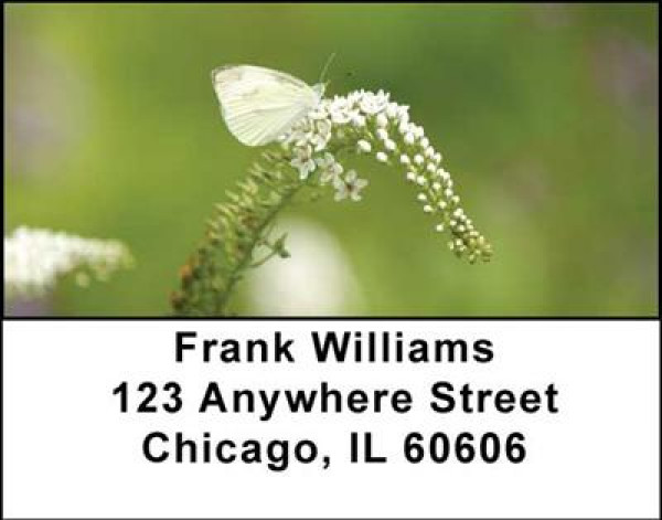 Butterflies in Nature Address Labels | LBANI-17