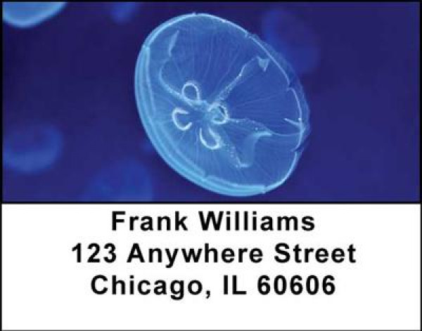 Jellyfish Address Labels | LBANI-37