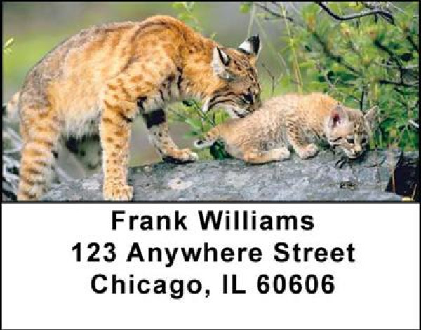 Bobcats Address Labels | LBANI-48