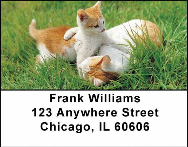 House Cats, the Kittens Address Labels | LBANI-87