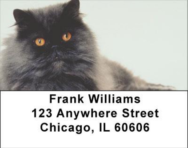 Persian Pedigrees Address Labels | LBANI-88