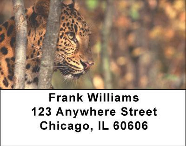 Can't Change His Spots Address Labels | LBANI-93
