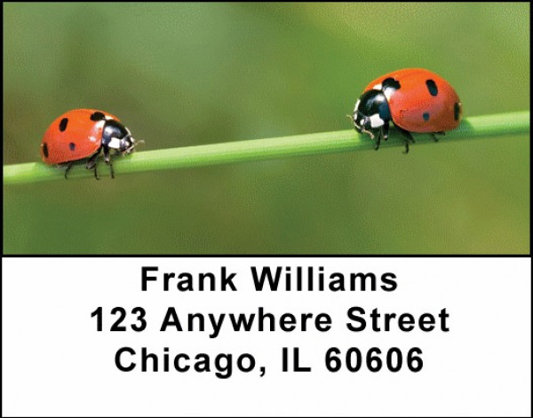 Lovely Ladybugs Address Labels | LBANJ-10