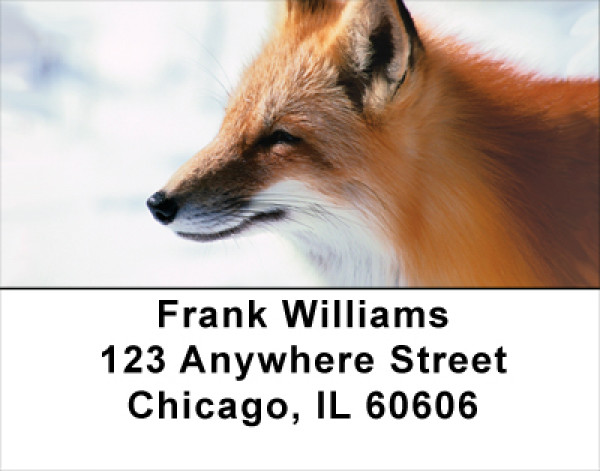 Foxy Address Labels | LBANK-39