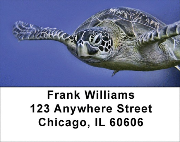 Sea Turtles Under Water Address Labels | LBANK-72