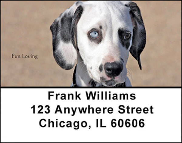 Dalmations Address Labels | LBBAA-13