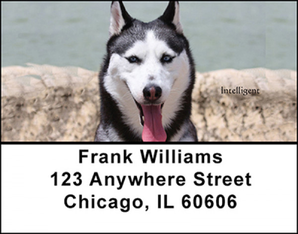 Husky Address Labels | LBBAA-14