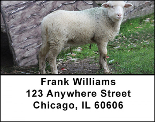 Sheep Address Labels | LBBAA-27