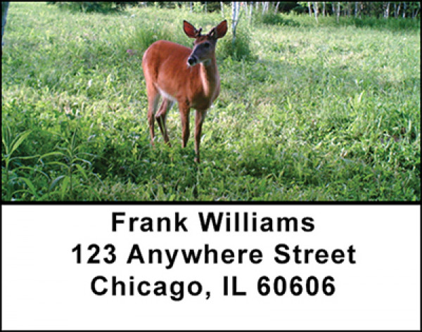 New Growth Address Labels | LBBAA-28