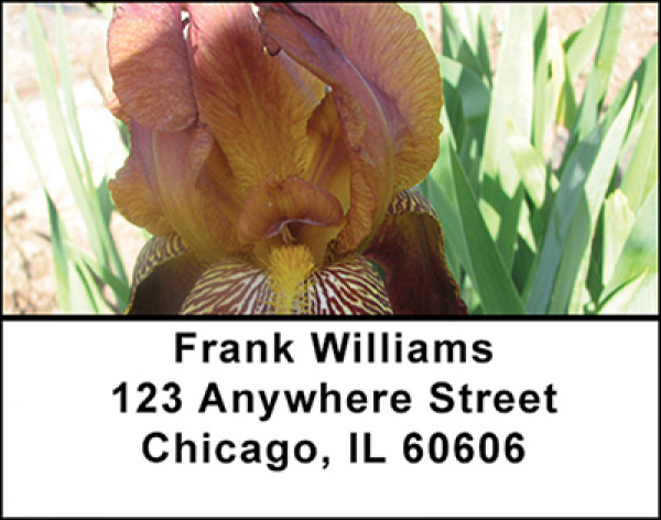 Iris Garden Address Labels | LBBAA-65
