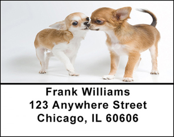 Playful Chichuahuas Address Labels | LBBAB-38