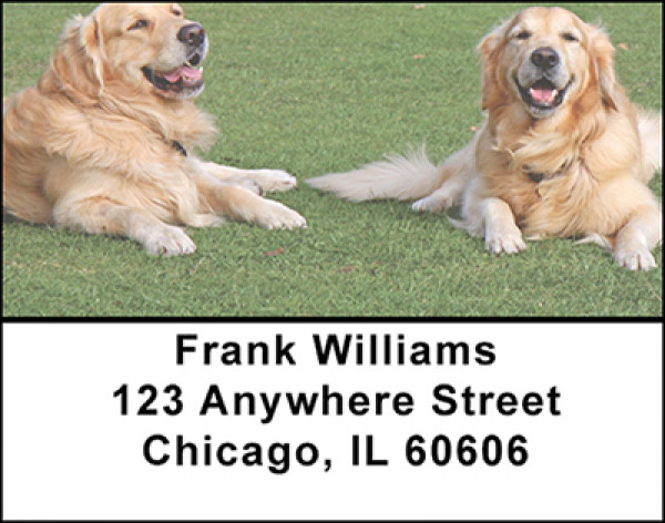 Golden Retrievers Address Labels | LBBAB-39
