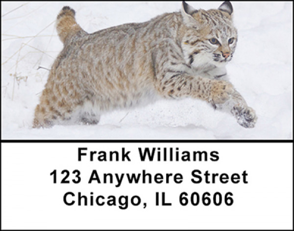 The Bobcat  Address Labels | LBBAB-69