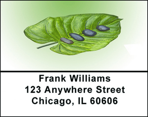 Zen Stones on Leaves Address Labels | LBBAB-93