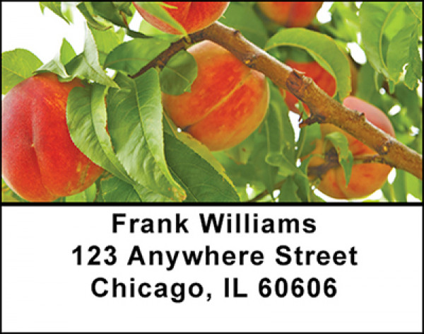Peaches Galore Address Labels | LBBAC-17