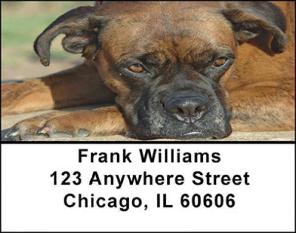 Boxer Dog Breed Address Labels | LBBAC-42