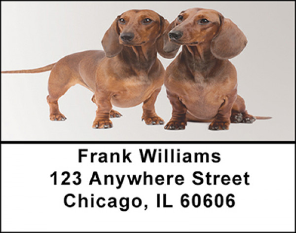 Daschund Dog Breed Address Labels | LBBAC-46