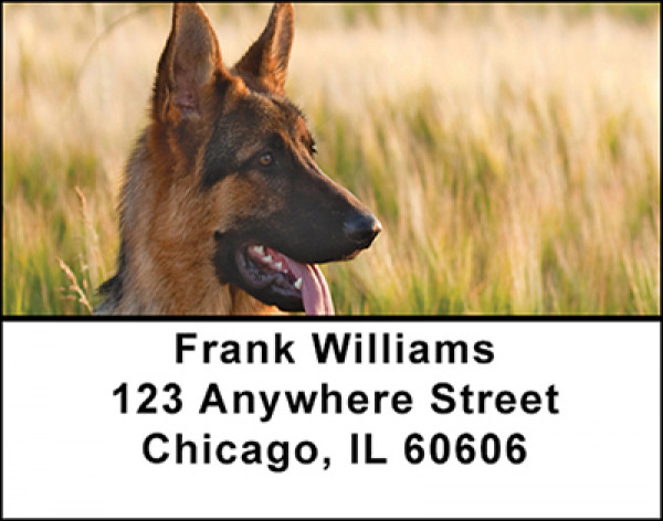 German Shepherd Dogs Address Labels | LBBAC-49