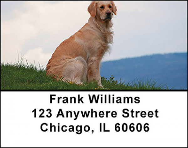 Golden Retriever Dogs Address Labels | LBBAC-51