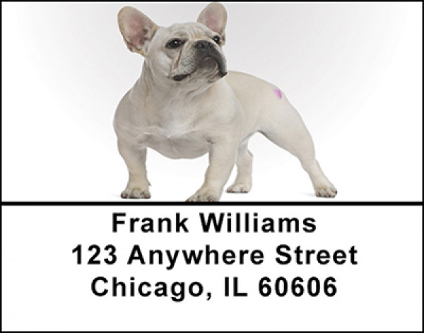 French Bull Dog Address Labels | LBBAC-53