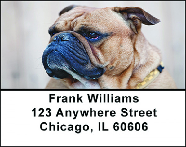 Bull Dog Dog Breed Address Labels | LBBAC-59