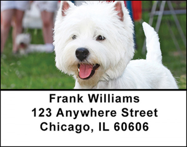 Terrier dog Address Labels | LBBAC-69