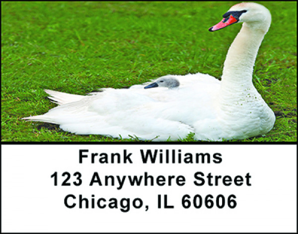 Mute Swan and Signet Address Labels | LBBAC-78