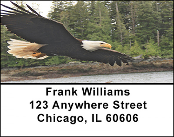 Bald Eagle Address Labels | LBBAC-80