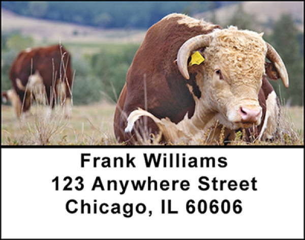 Bulls Address Labels | LBBAC-95