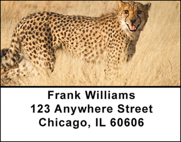 Cheetah Address Labels | LBBAC-97