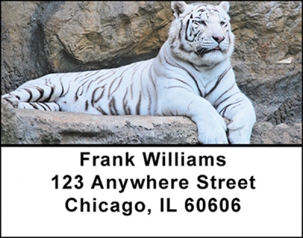 White Tigers Address Labels | LBBAD-07