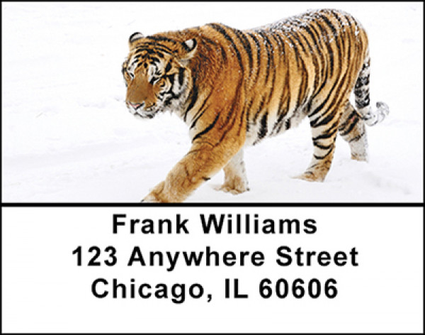 Tiger In Snow Address Labels | LBBAD-09