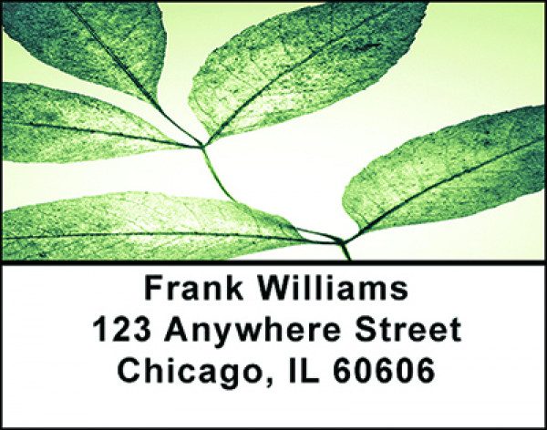Mystical Foliage Address Labels | LBBAD-27