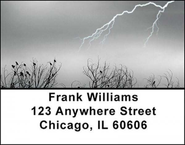 Lightning Storms Address Labels | LBBAD-53