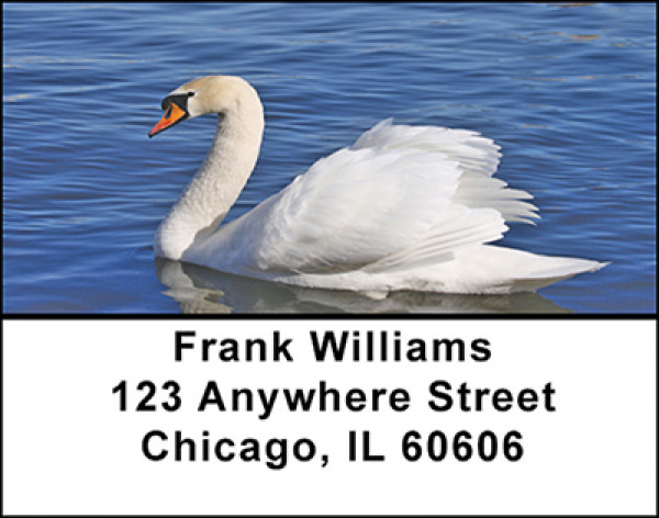 Swan Splendor Address Labels | LBBAE-41