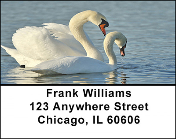 Swan Tranquility Address Labels | LBBAE-43