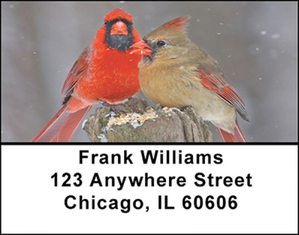 Hardy Winter Birds Address Labels | LBBAE-64