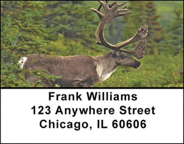 Caribou in the Wild Address Labels | LBBAE-69